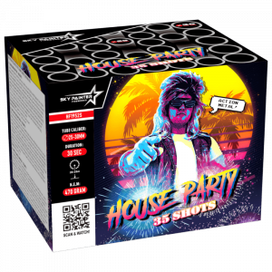 Sky Painter House Party 35 Schuss Feuerwerksbatterie